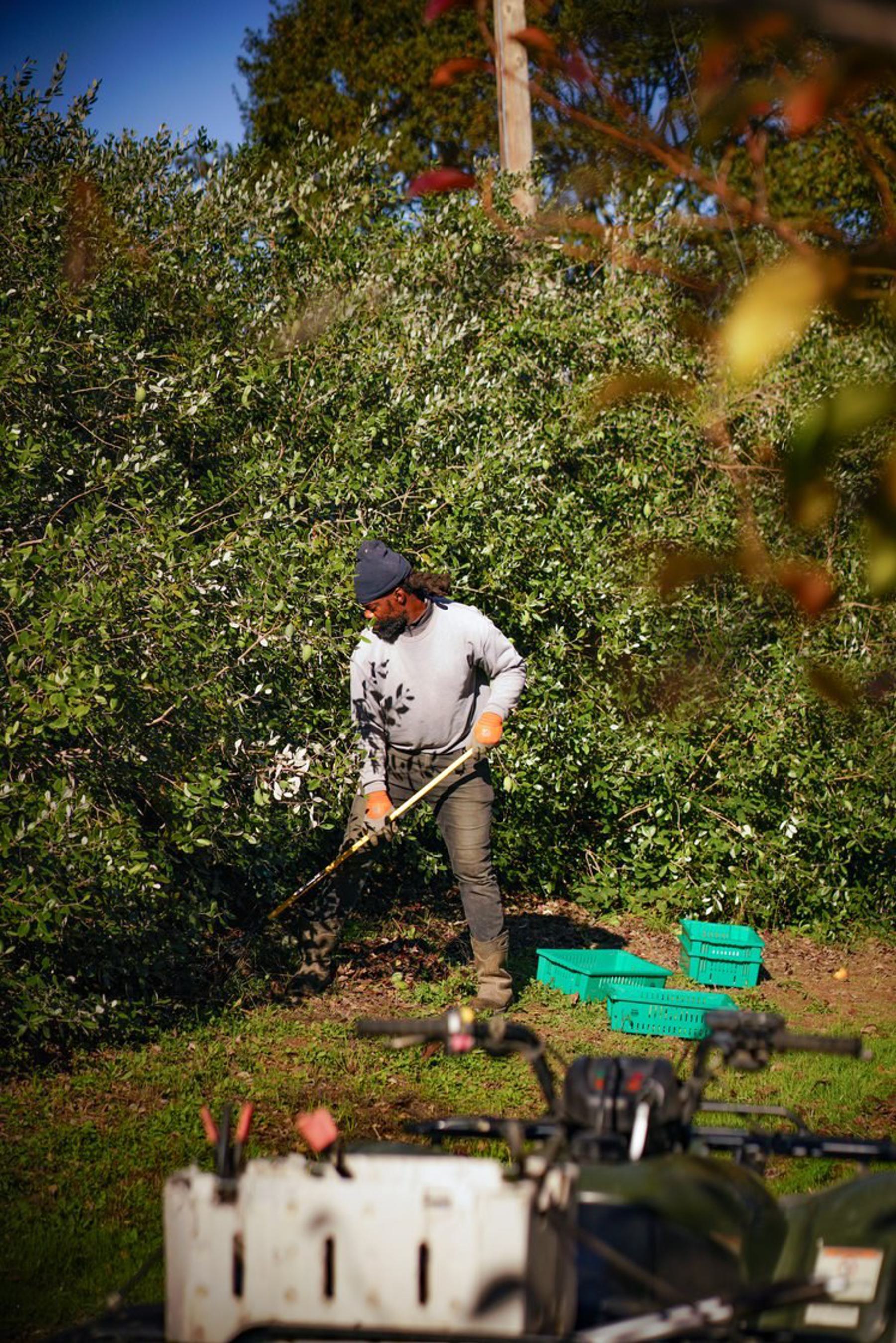a gardener working